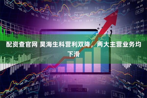 配资查官网 昊海生科营利双降，两大主营业务均下滑