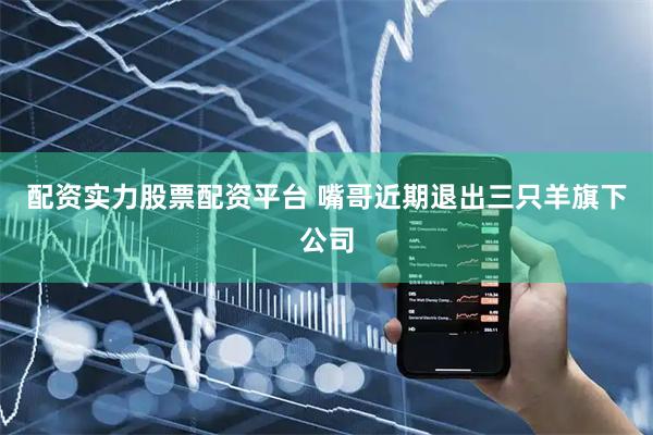 配资实力股票配资平台 嘴哥近期退出三只羊旗下公司