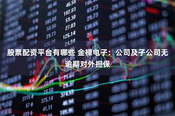 股票配资平台有哪些 金禄电子：公司及子公司无逾期对外担保