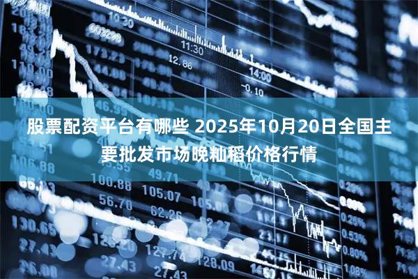 股票配资平台有哪些 2025年10月20日全国主要批发市场晚籼稻价格行情
